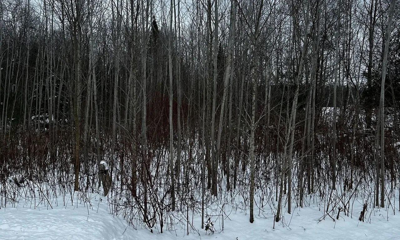 6155 Concession 2, Clearview, ON L0M 1N0