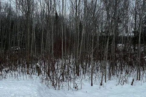 6155 Concession 2, Clearview, ON L0M 1N0