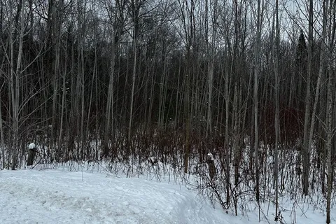 6155 Concession 2, Clearview, ON L0M 1N0