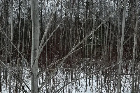 6155 Concession 2, Clearview, ON L0M 1N0