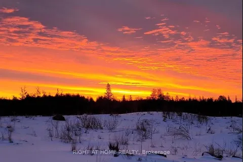 53 Scarlett Line, Oro-Medonte, ON L0L 1V0