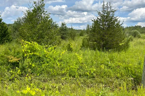 1125 Wood Road, Tay, ON L0K 2E0