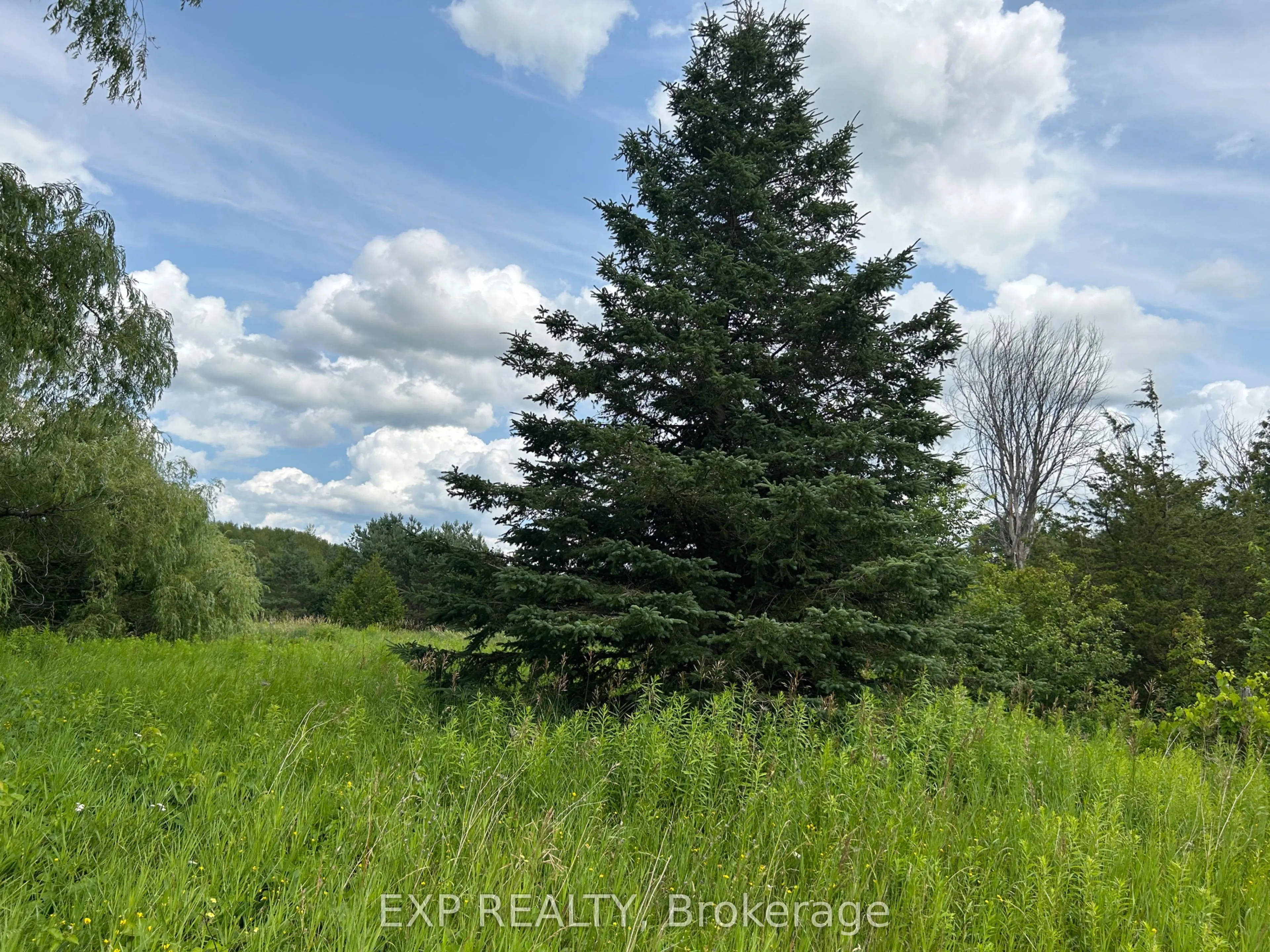 1155 Wood Road, Tay, ON L0K 2E0