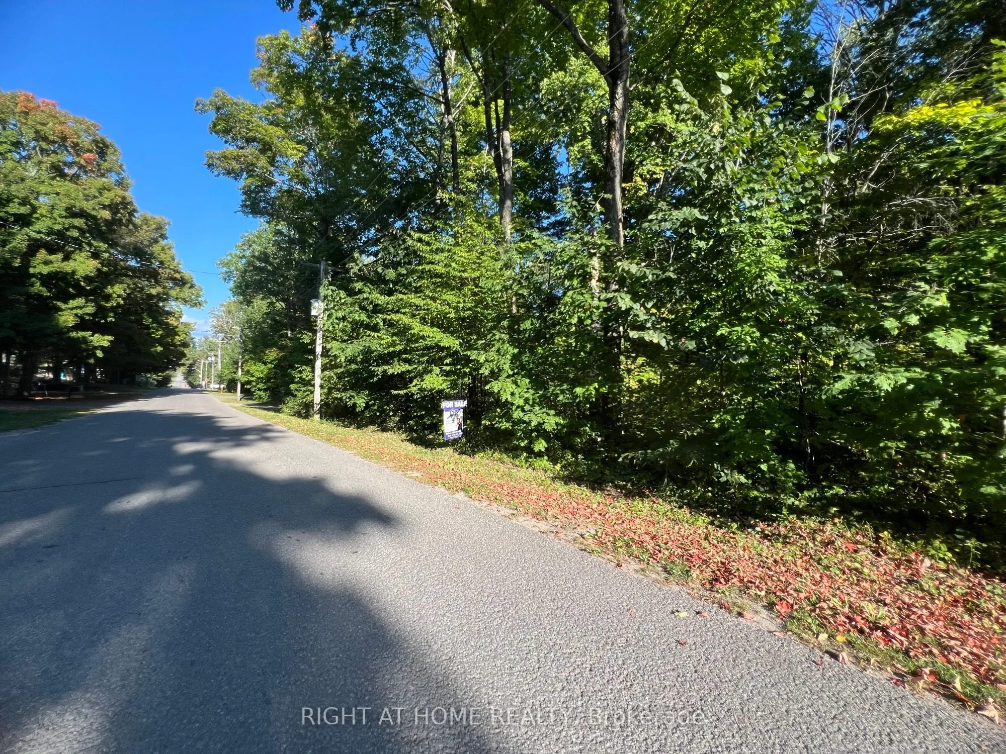 1203 Everton Road, ON L4R 5J2