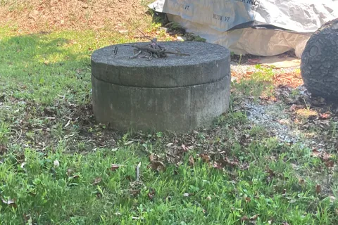 14 Barbara Avenue, Oro-Medonte, ON L0L 2E0