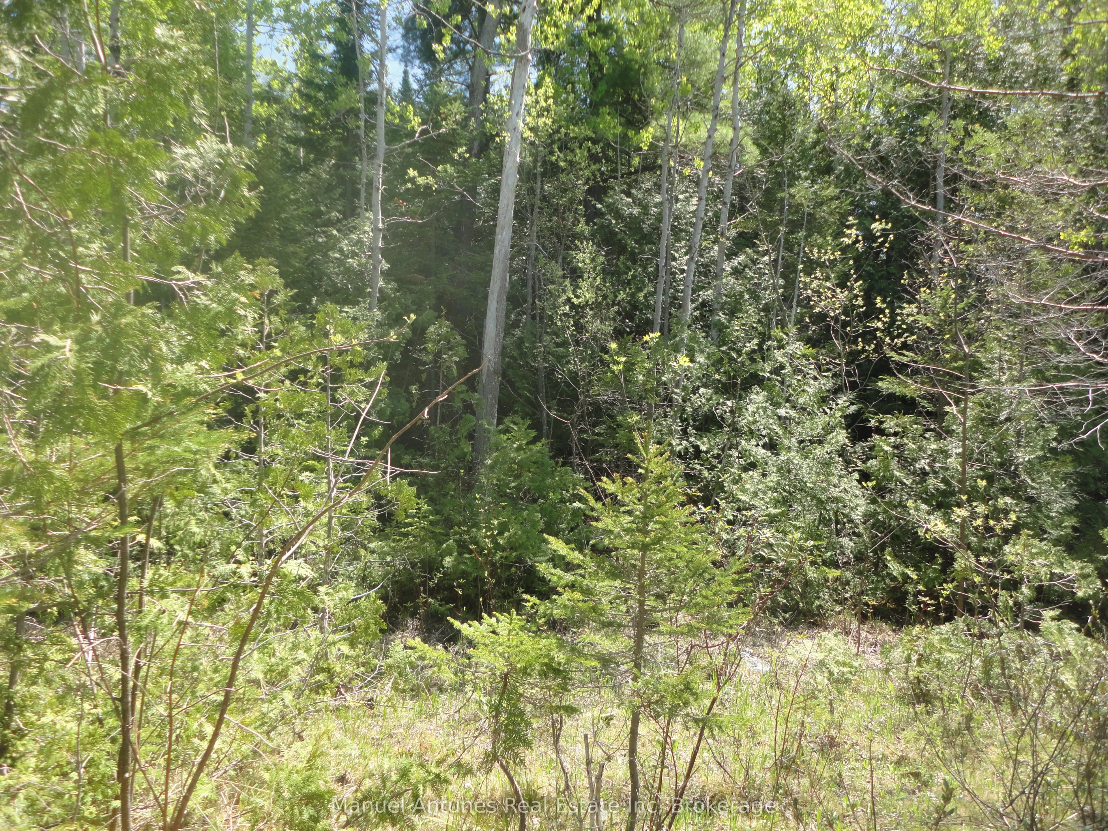 LT 53 Bay Sands Drive, ON L9Z 1V1