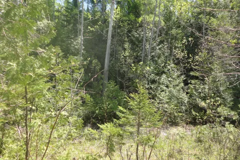 LT 53 Bay Sands Drive, ON L9Z 1V1