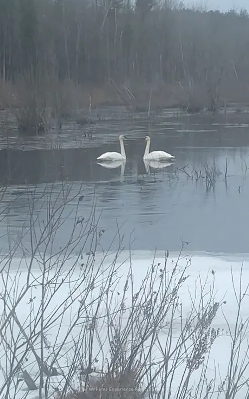 PL 20 Concession 18 N/A, ON L9M 0K2