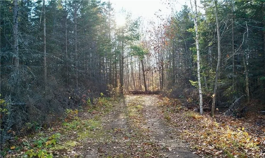 PL 20 Concession 18 N/A, ON L9M 0K2