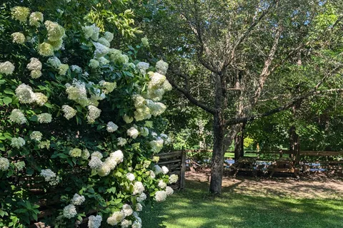 8934 County Rd 9 Road, ON L0M 1G0