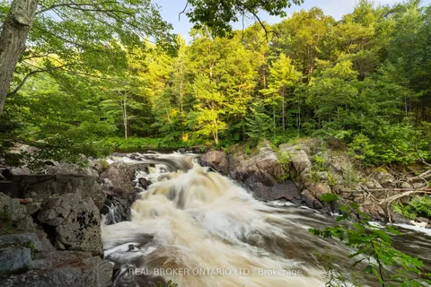 1401 Coopers Falls Road, ON L0K 2B0