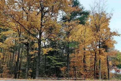 Lot 354 Desroches Trail N/A, ON L9M 0H9