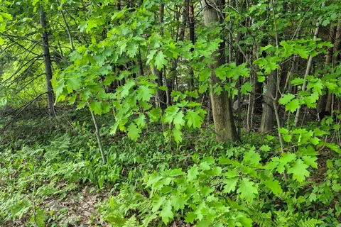 3763 Agnew Road, ON L0K 2B0