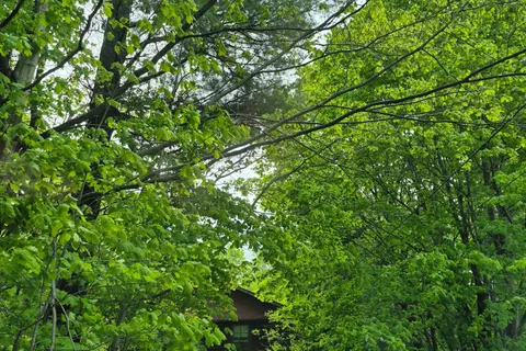 3763 Agnew Road, ON L0K 2B0