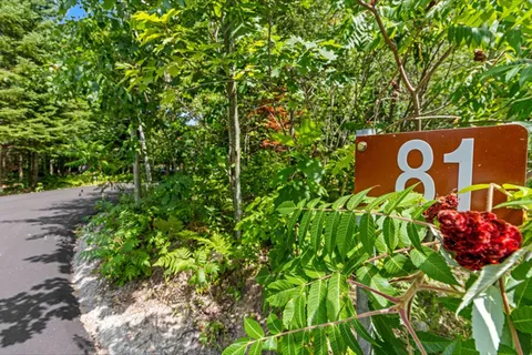 81 Spruce Street, ON L0L 1P1