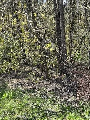 145 Courtland Street, ON L3V 6H7