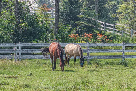 145 Courtland Street, ON L3V 6H7