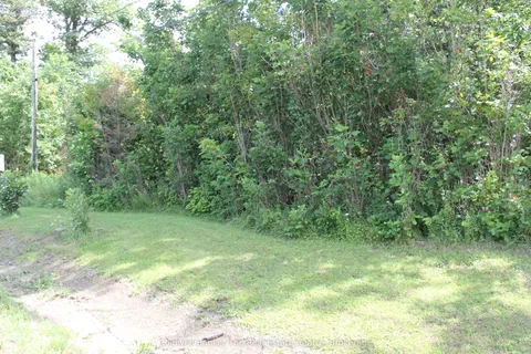 9561 11 Highway, ON L0K 2B0