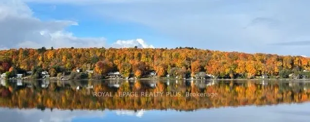 28 Navigator Road, ON L9M 0W6