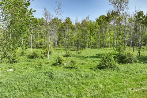 1579 Wainman Line, ON L0K 1E0