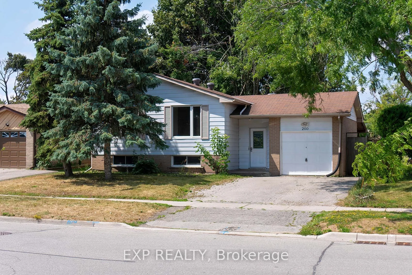 260 Cook Street, ON L4M 4H6