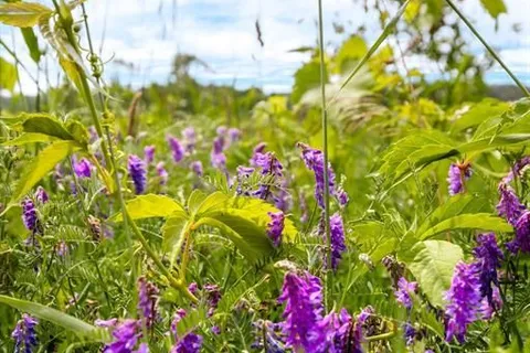 570 Curry Road, ON L9M 2C8