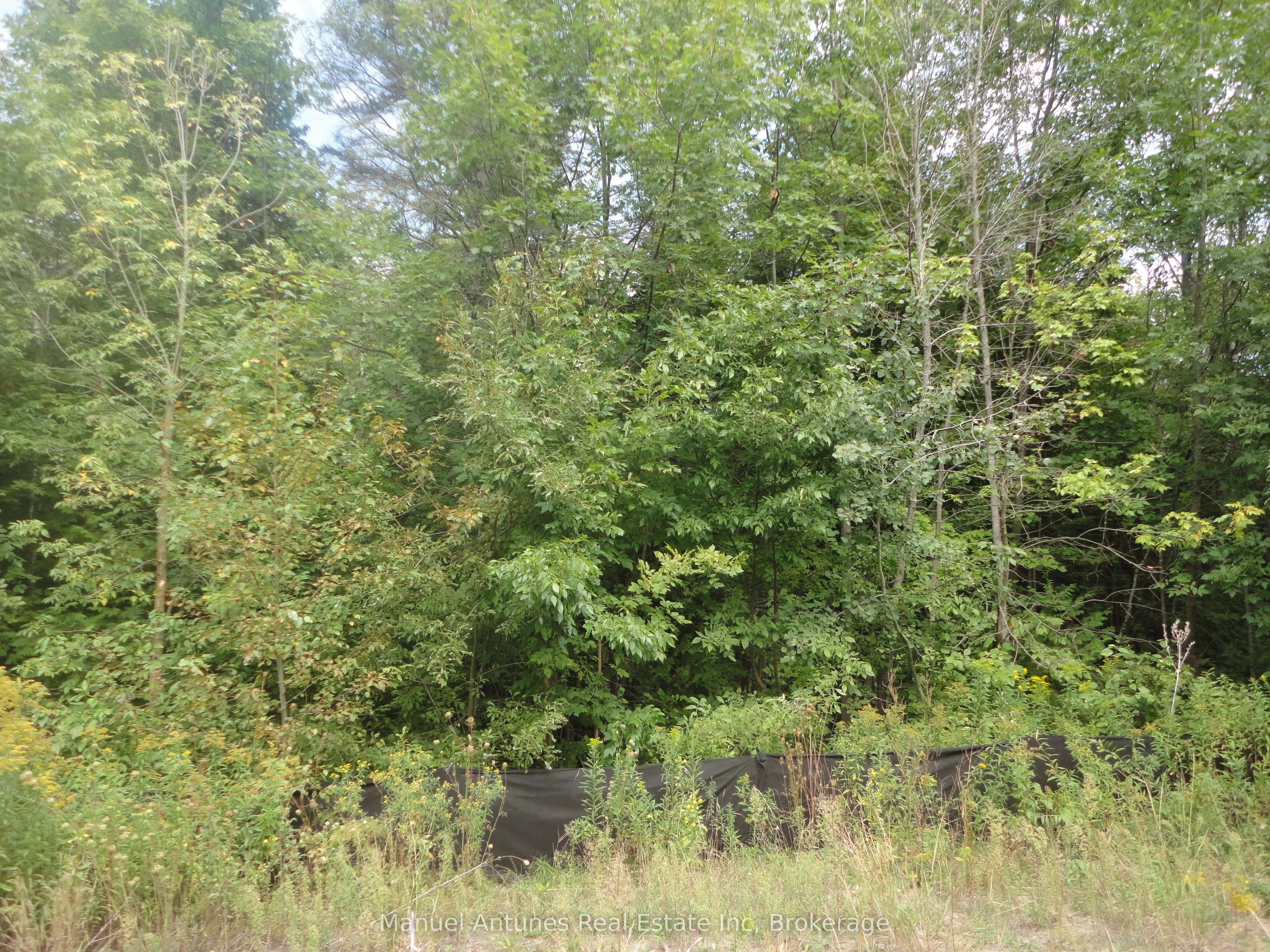 Lot 41 Robinson Road, ON L9Z 1Y3