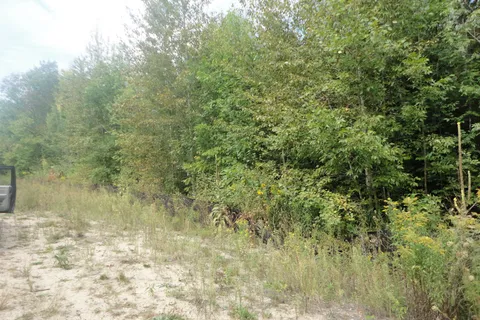 Lot 41 Robinson Road, ON L9Z 1Y3