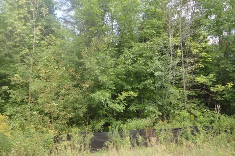 Lot 41 Robinson Road, ON L9Z 1Y3