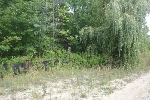 Lot 41 Robinson Road, ON L9Z 1Y3