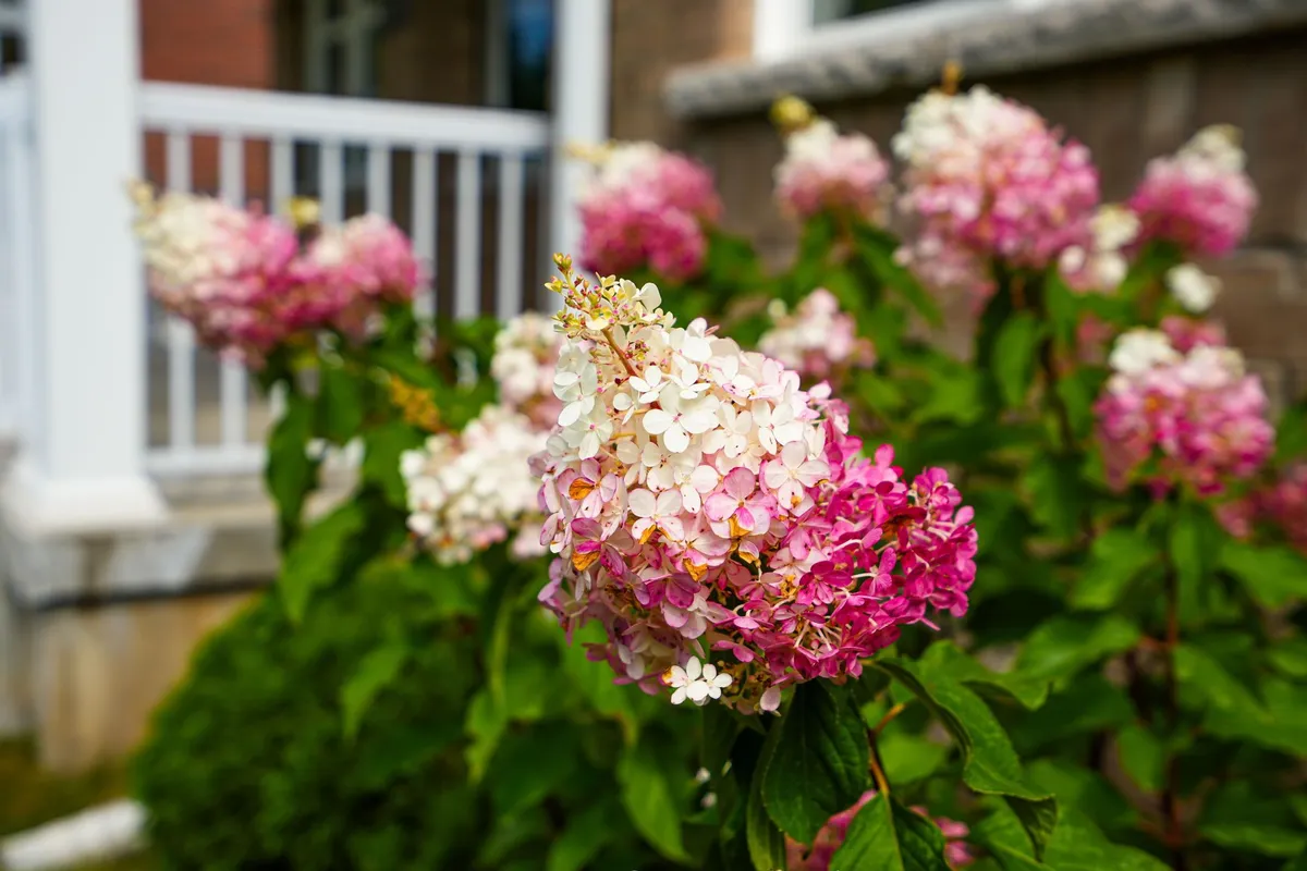 213 Mary Street, ON L0M 1G0