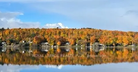 20 Navigator Road, ON L9M 0W6