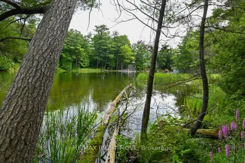 4544 Bowles Lane, ON L0K 2B0