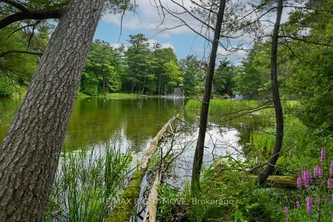 4544 Bowles Lane, ON L0K 2B0