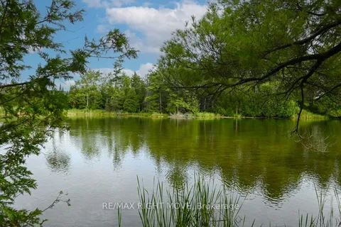 4544 Bowles Lane, ON L0K 2B0