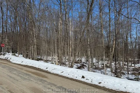 85 Polish Avenue, ON L9M 1W8