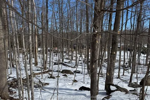 85 Polish Avenue, ON L9M 1W8