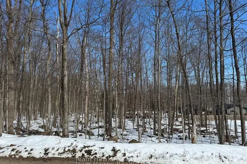 85 Polish Avenue, ON L9M 1W8