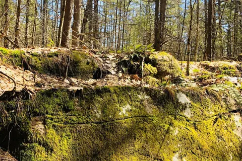 3197 Severn River N/A, ON K0K 1E0