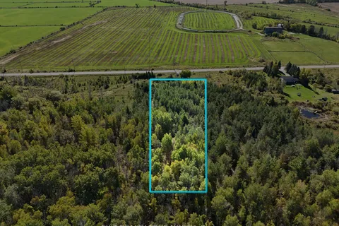 6696 33/34 Nottawasaga Side Road, ON L0M 1S0