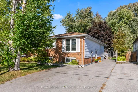 163 Collins Street, ON L9Y 4L7