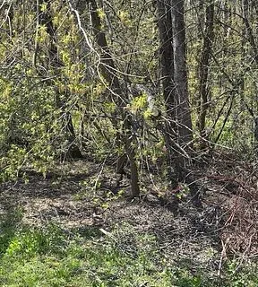 153 Courtland Street, ON L3V 6H7