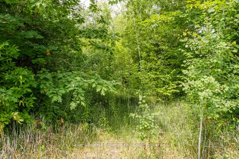 264 PEEK-A-BOO Trail, ON L9M 0B3