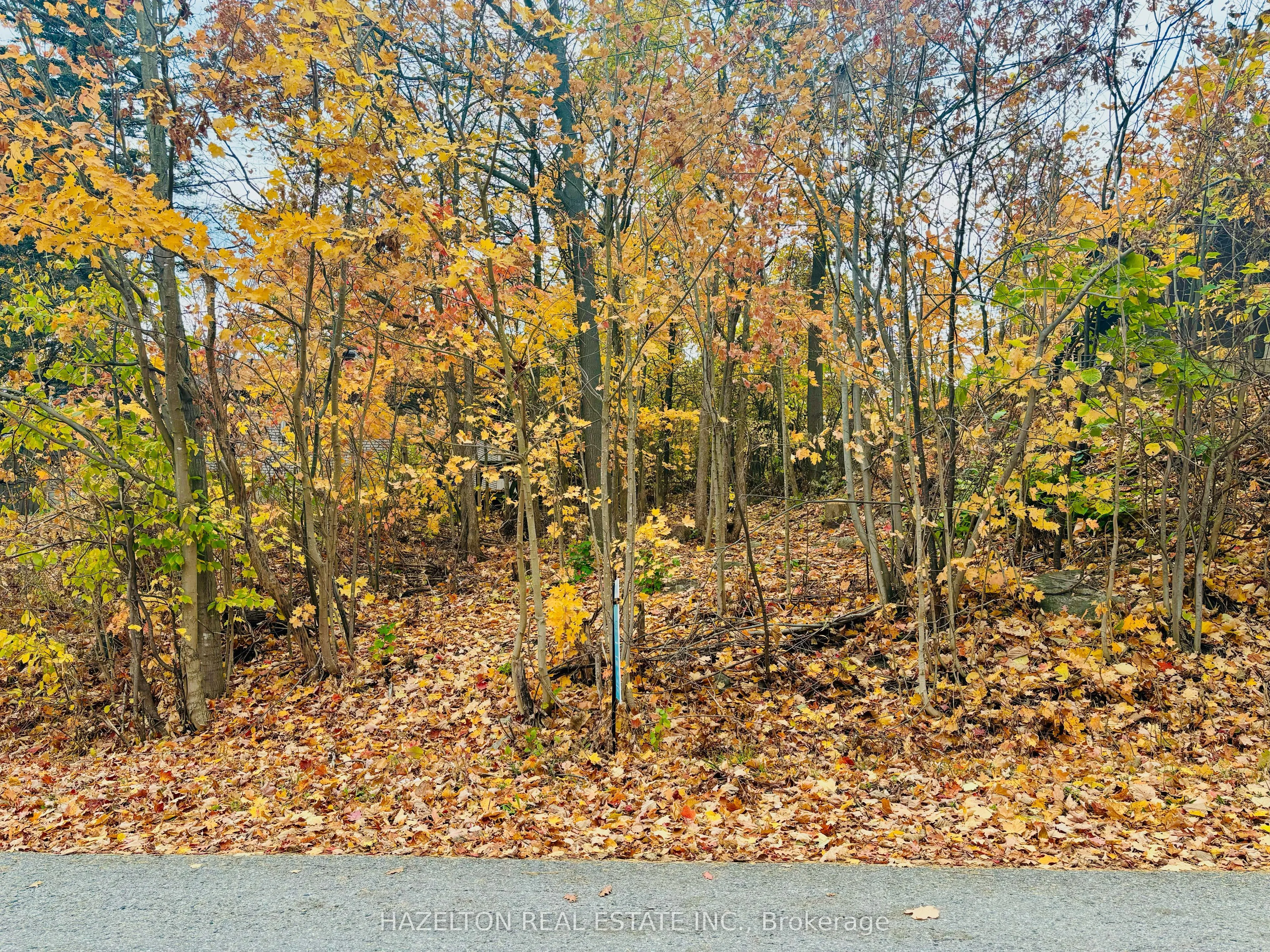 554 Barnes Avenue, ON L0K 1R0