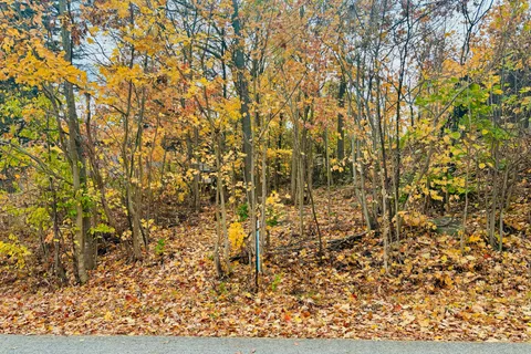 554 Barnes Avenue, ON L0K 1R0