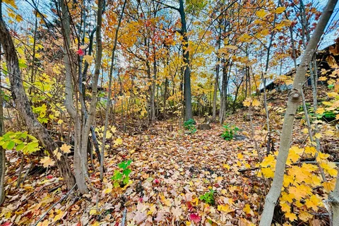 554 Barnes Avenue, ON L0K 1R0