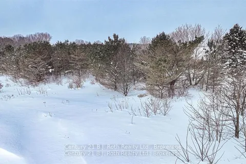 Lot 6 Rue Eric Street, ON L9M 0H1