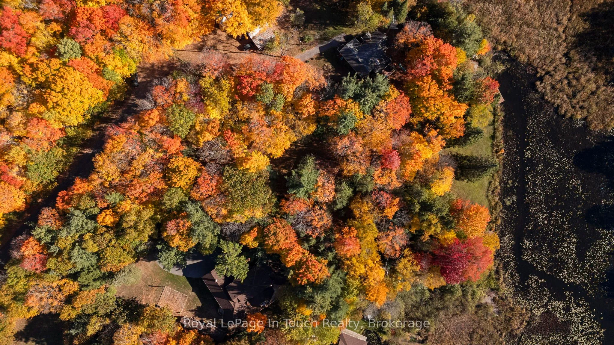 1980 South Riverside Drive, ON L0K 1E0