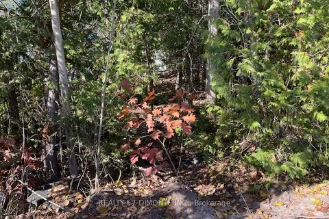 00000 River Road, ON L9Z 2P3