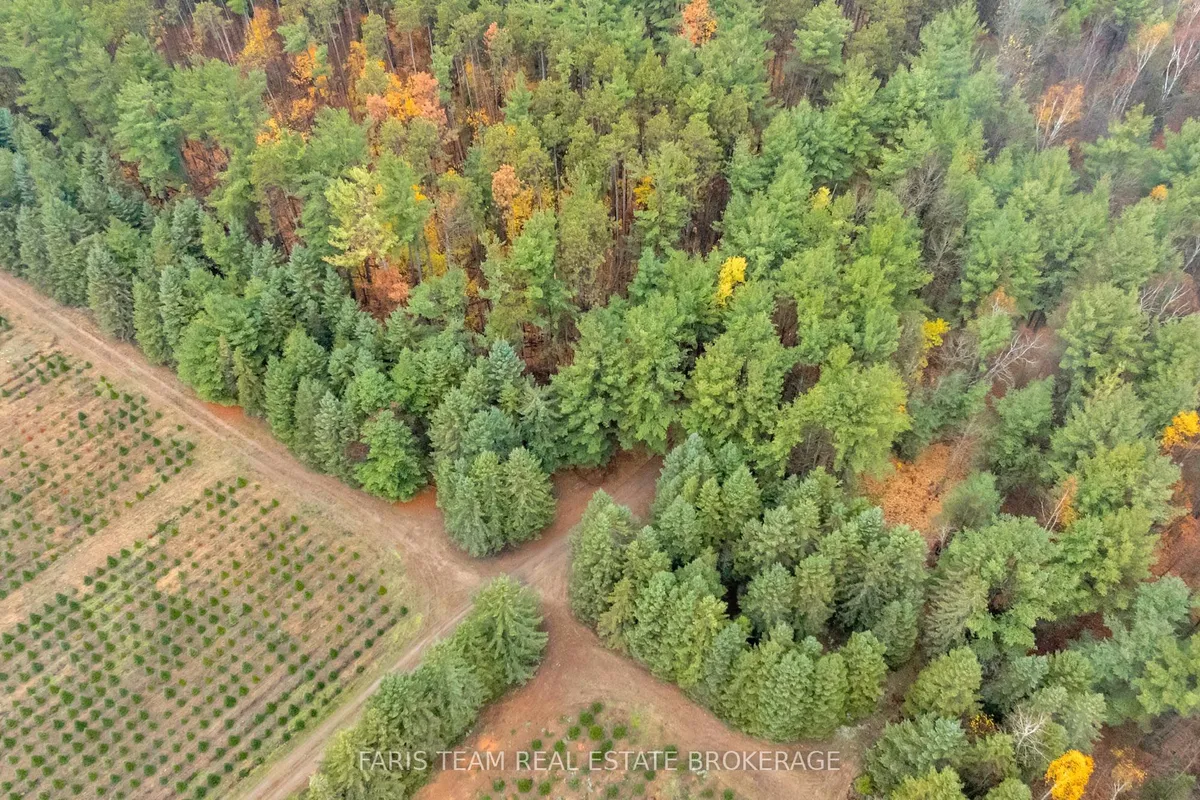 5992 Concession 2 Sunnidale N/A, ON L0M 1N0